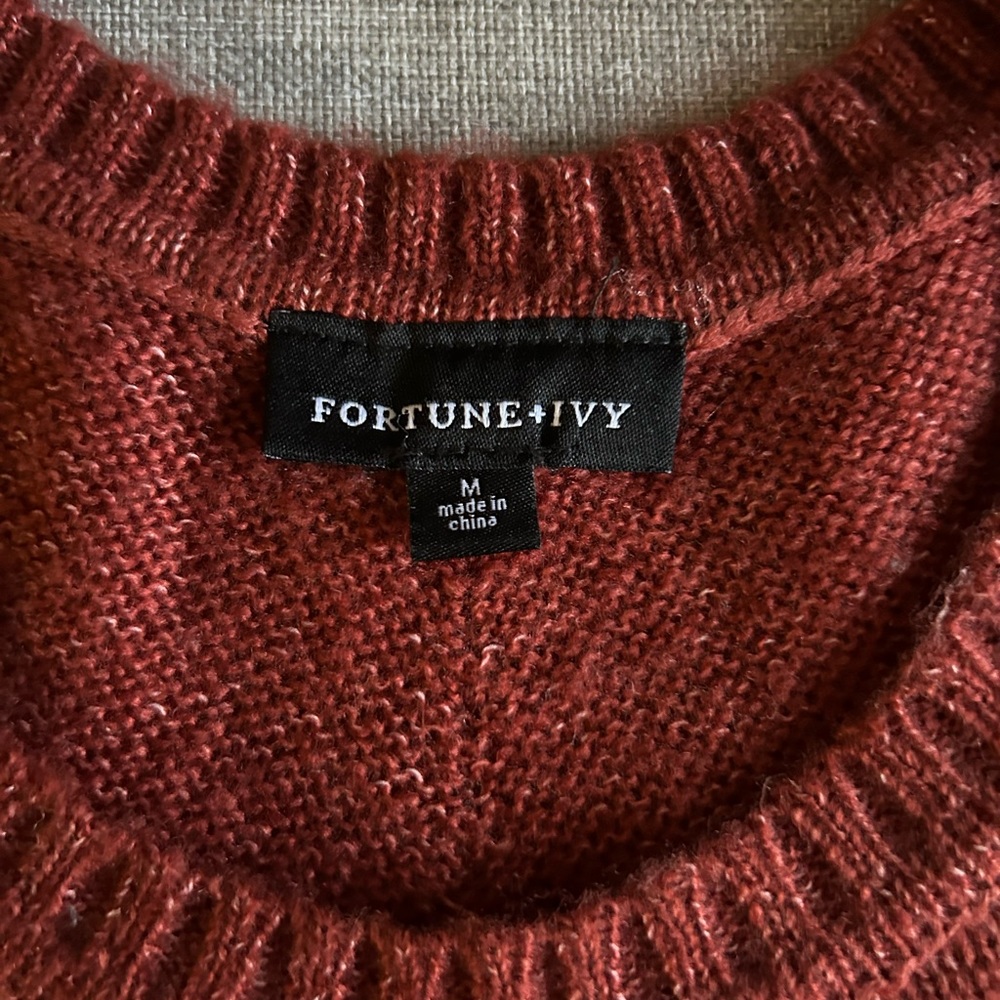 Fortune + Ivy Color Block Sweater - Picture 4 of 4